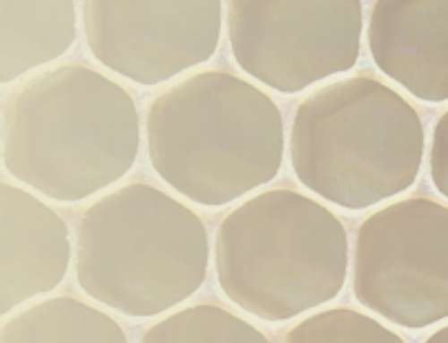 Daams houthandel is trotse sponsor van Stichting B-Tween